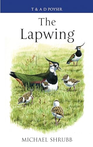 Lapwing (Poyser Monographs) von Poyser